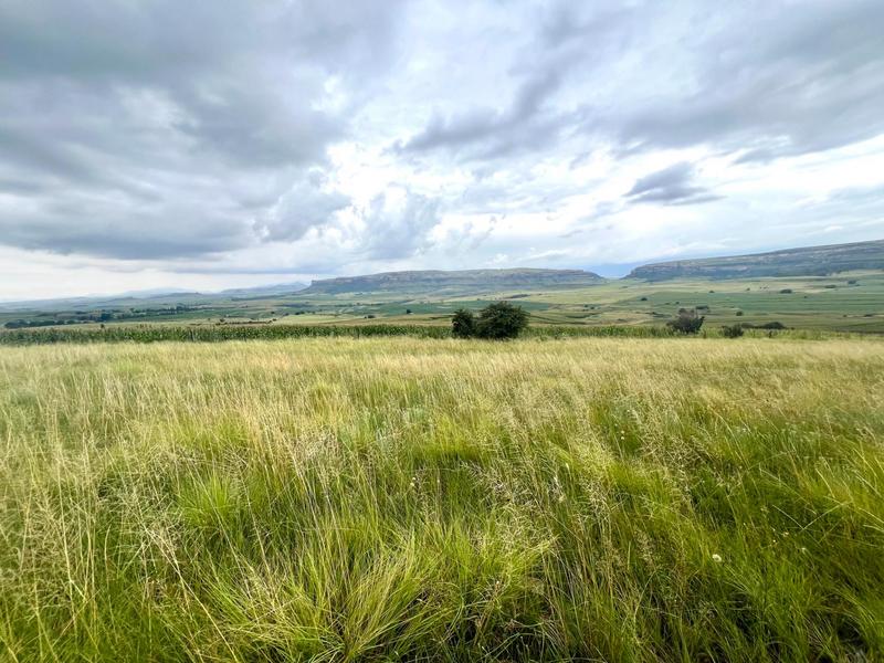 4 Bedroom Property for Sale in Fouriesburg Free State